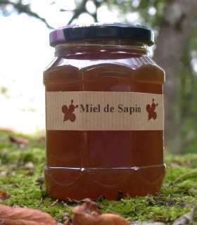 Miel de Sapin d'Auvergne
