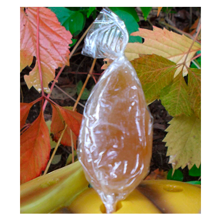 Sucettes au Miel