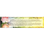 Sirop Apivital Miel et Propolis